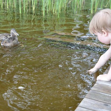 Willa Moekki Etelaeranta Mikkeli Zewnętrze zdjęcie